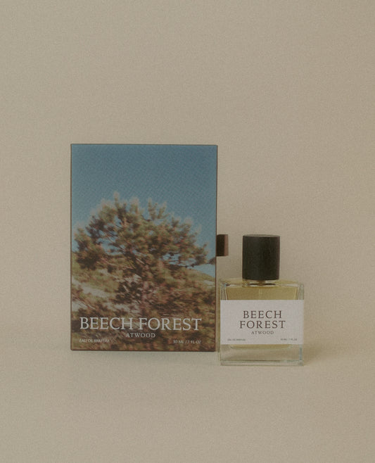 BEECH FOREST