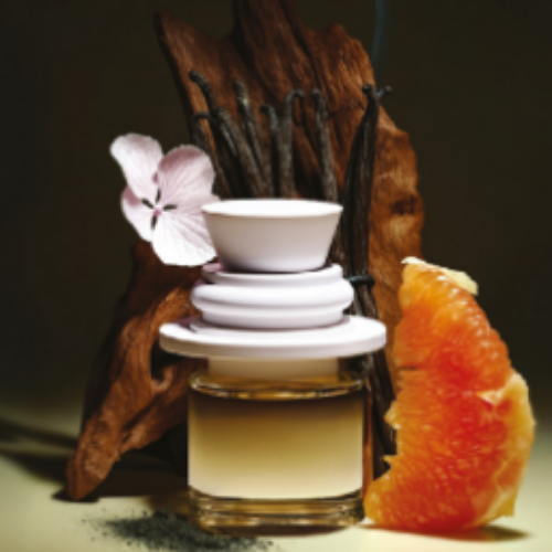 A small glass bottle of fragrance with a white stacked cap, styled with vanilla beans, a pink flower, driftwood, and a grapefruit slice against a dark background.