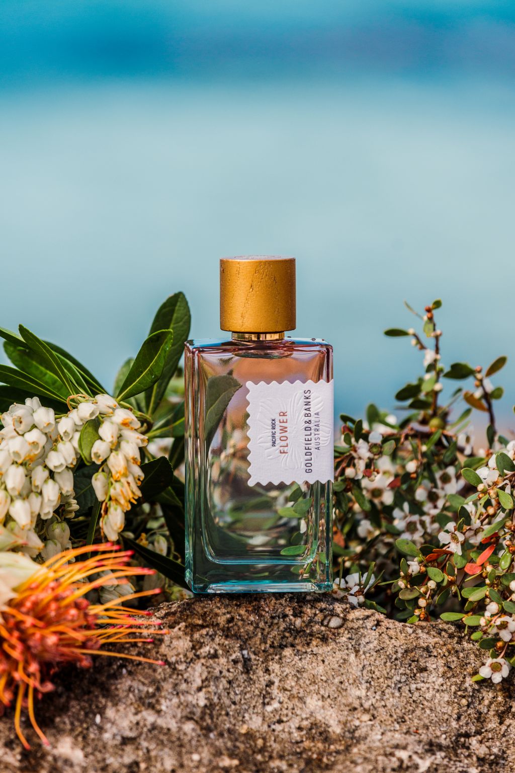 A clear rectangular perfume bottle with a gold wood cap and a white scalloped label reading 'Pacific Rock Flower from Goldfield and Banks styled on a rock with flowers and greenery against a blurred blue ocean background.